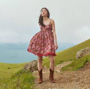 Gavin Fringe Mini Dress in Imperial Red & Blush Floral