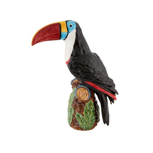 Amazonia Toucan