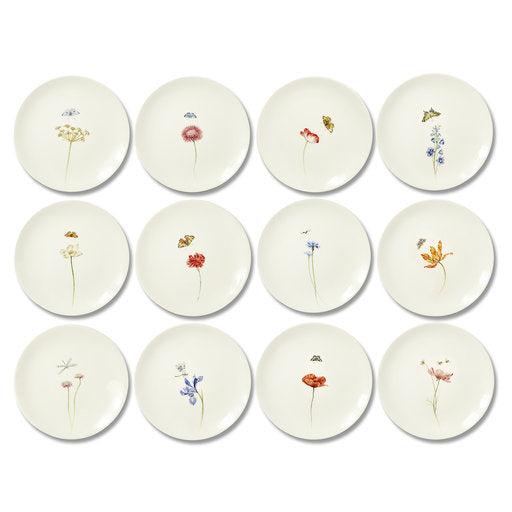 Bloom Plates, Set of 12