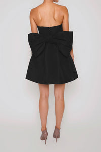 Paige Silk Faille Full Mini Dress