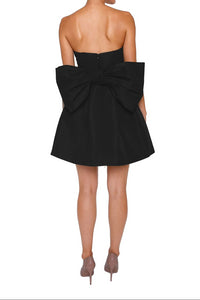 Paige Silk Faille Full Mini Dress