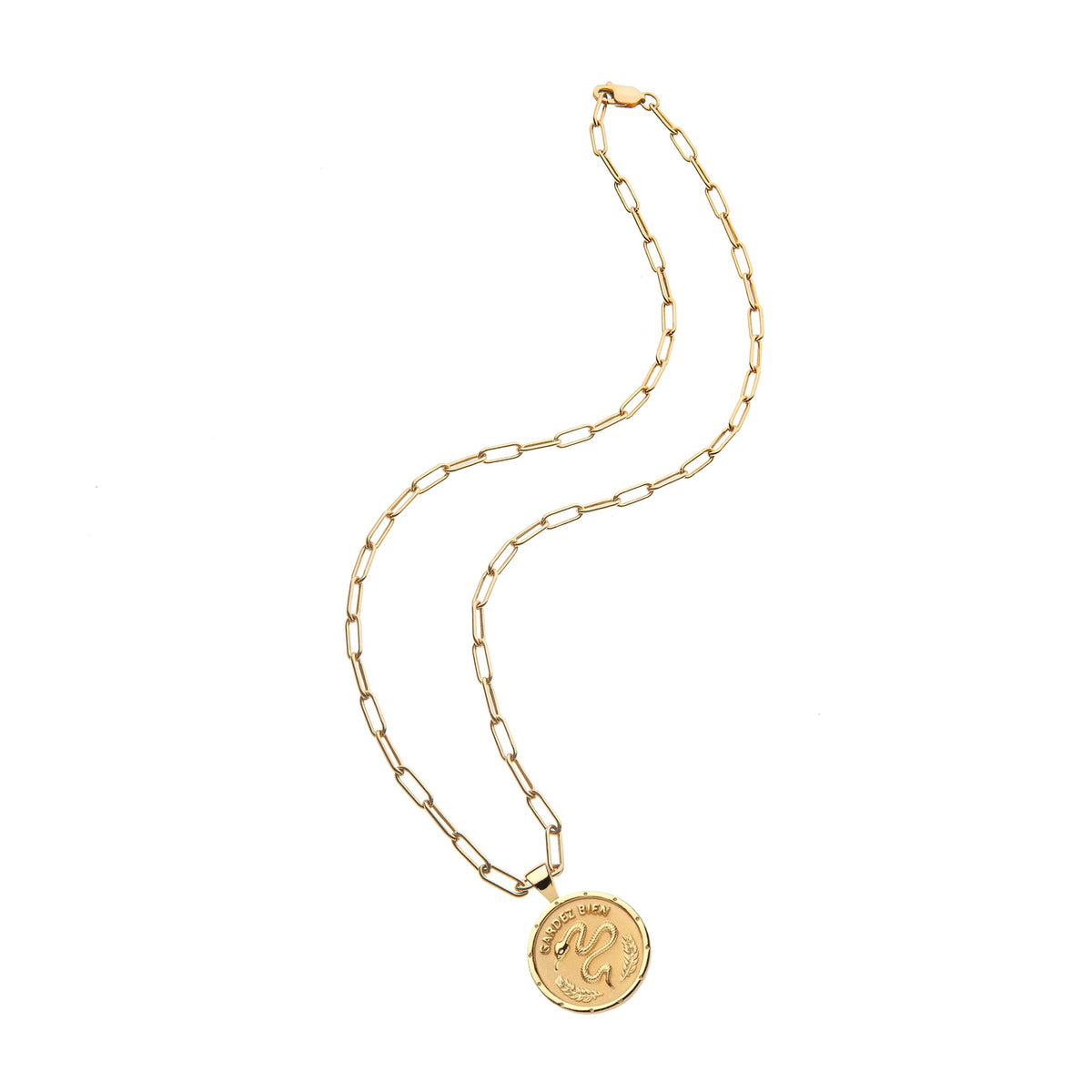 Front view of Protect JW Small Pendant Coin Necklace showcasing snake coin pendant and drawn link chain on white background