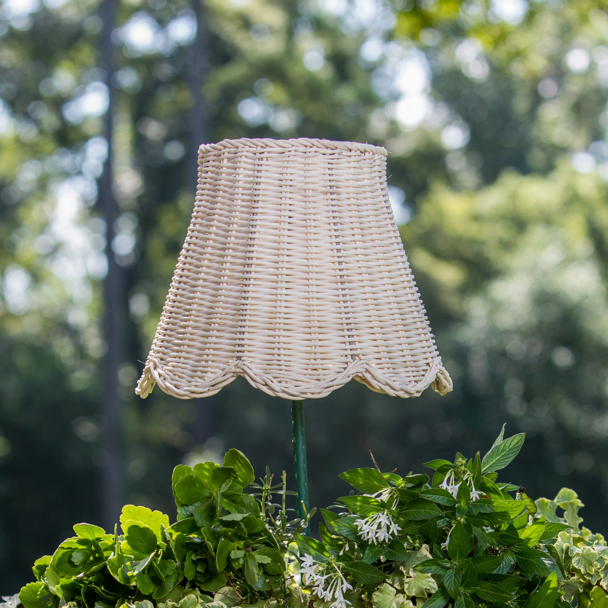 Maison Maison Design Scalloped Lampshade
