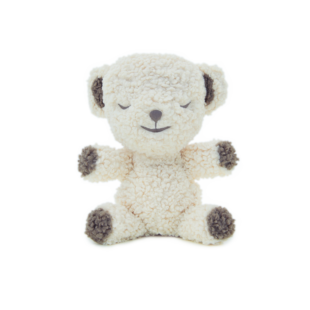 White top noise teddy