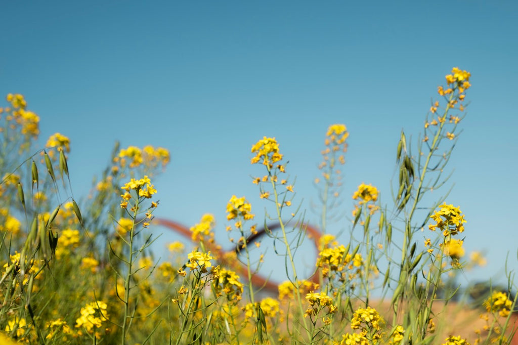 Stanly Ranch Napa, 2-Night Stay