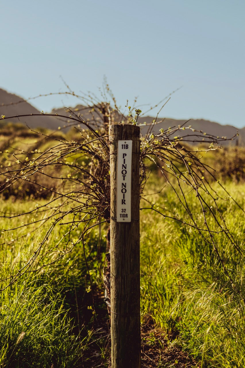 Stanly Ranch Napa, Luxury 5-Night Stay