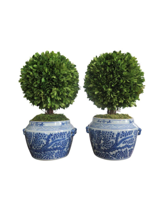 Silk Boxwood Topiaries in Classic Blue and White Planters