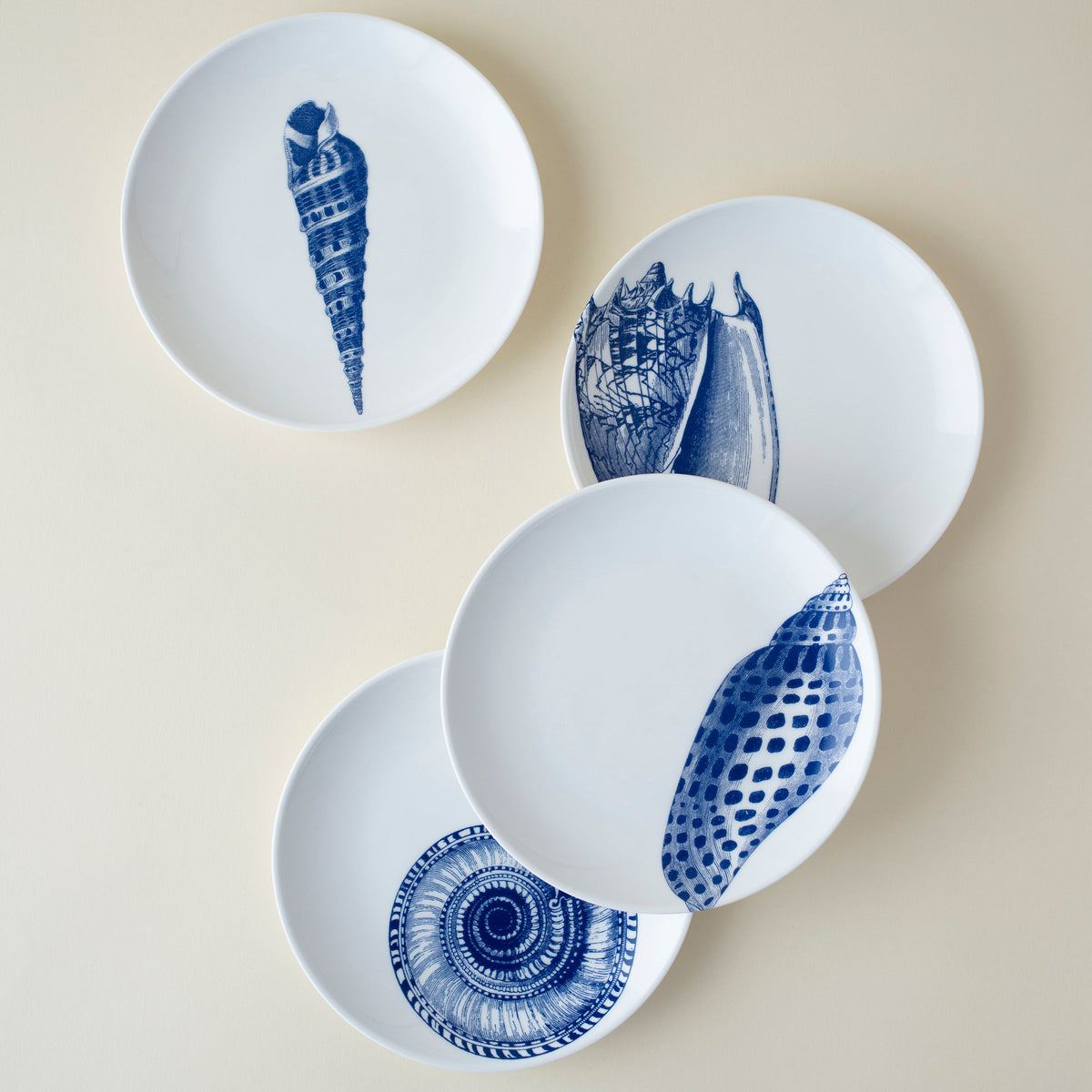 Shells Canapé Plates Boxed Set/4 - Caskata