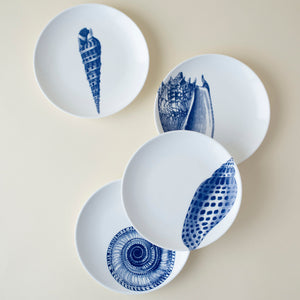 Shells Canapé Plates Boxed Set/4 - Caskata