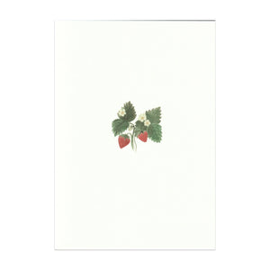 Strawberry Cards, Set of 5