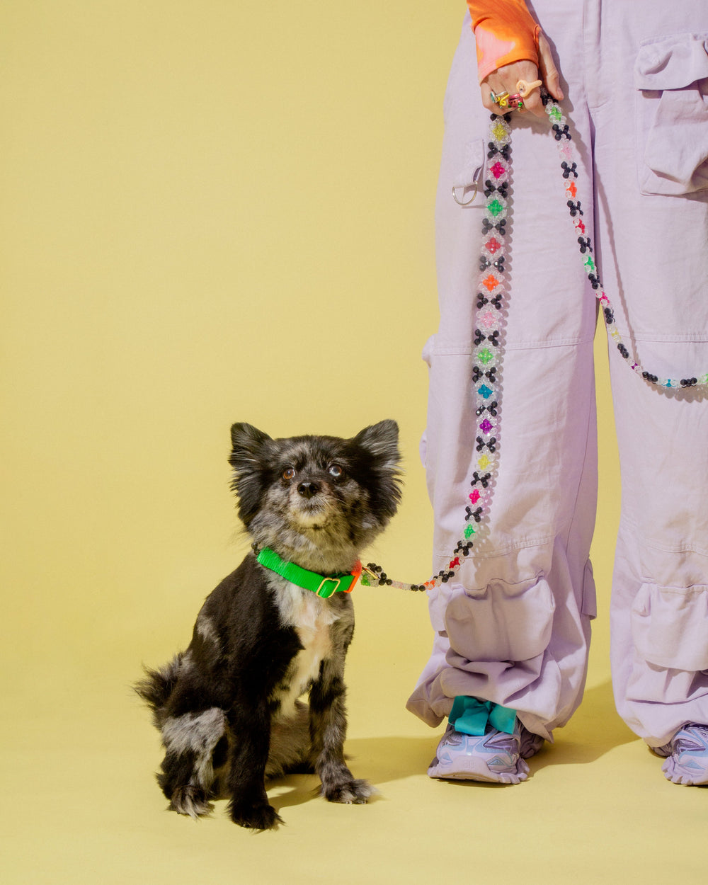 Full view of Seltzer leash showing multicolored beads and bright green collar on a dog with person on pale yellow background