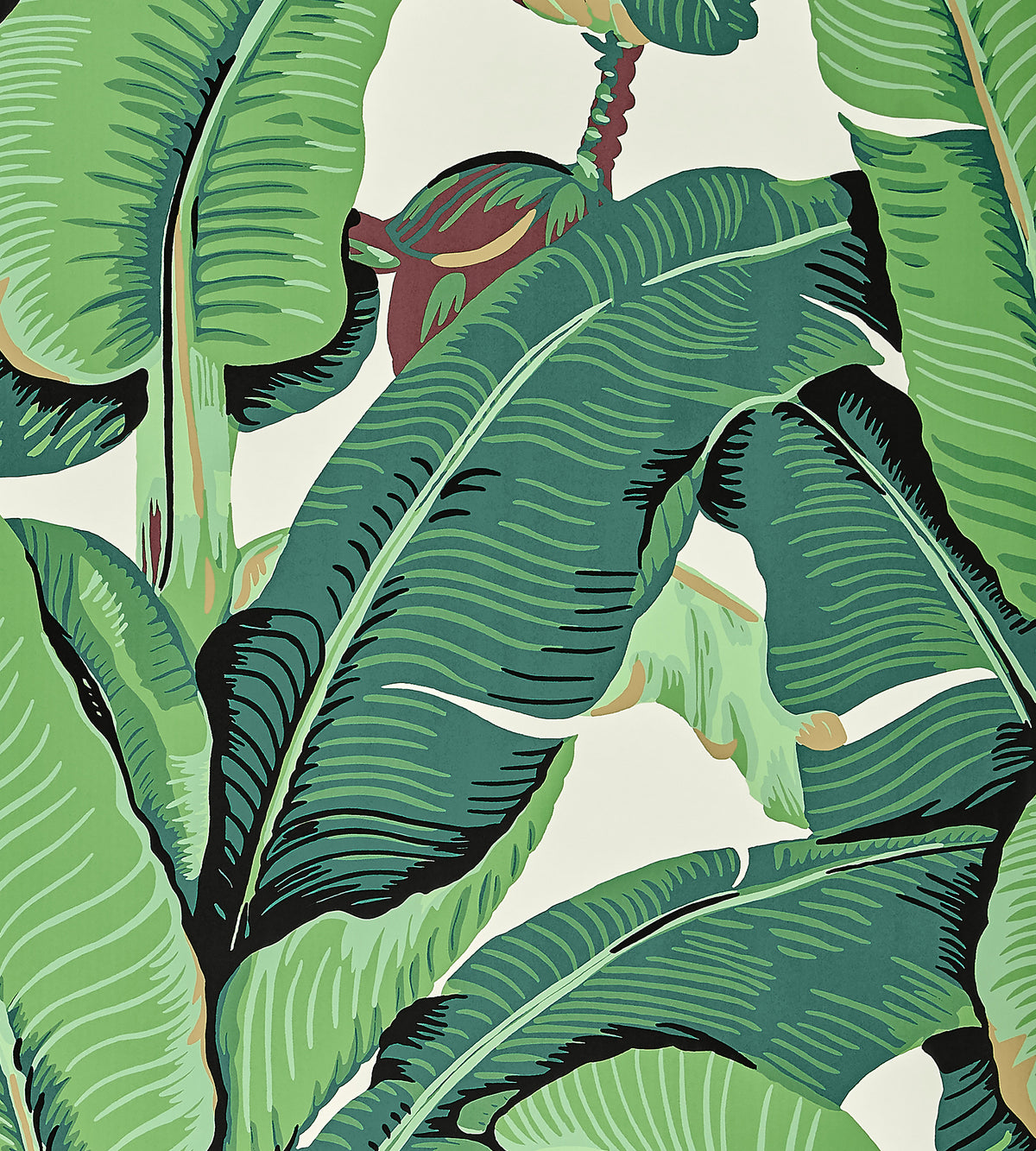 Close-up of Hinson Palm wide-width wallpaper showing large overlapping green banana leaves on a cream background