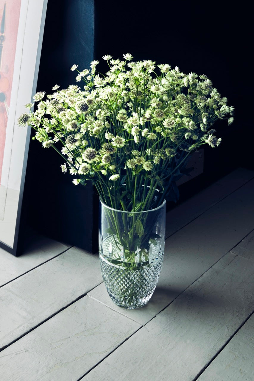 Irish Lace Vase