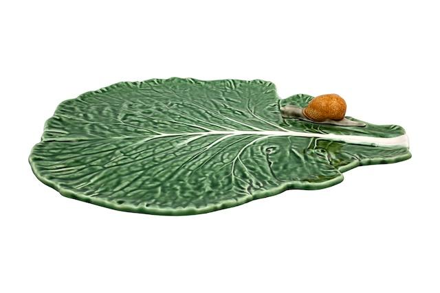Cabbage Green Leaf With Snail