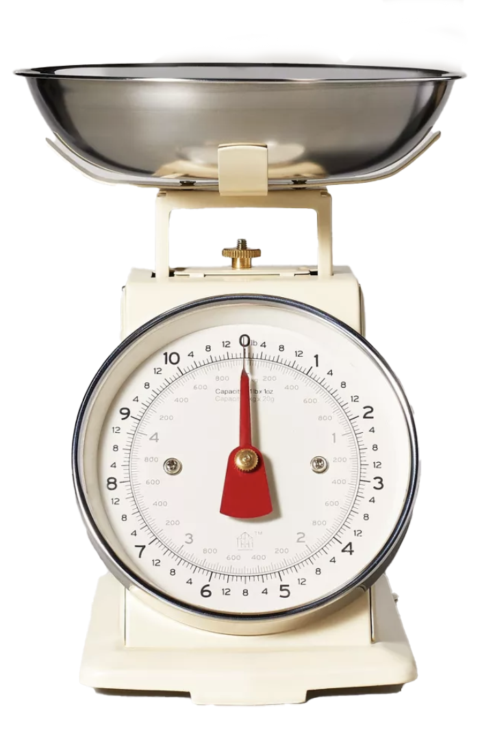 11lb Stainless Steel Kitchen Scale Ivory
