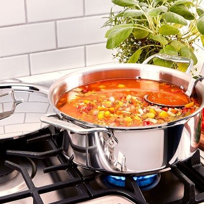 All-Clad d5 Stainless-Steel Ultimate Soup Pot with Ladle