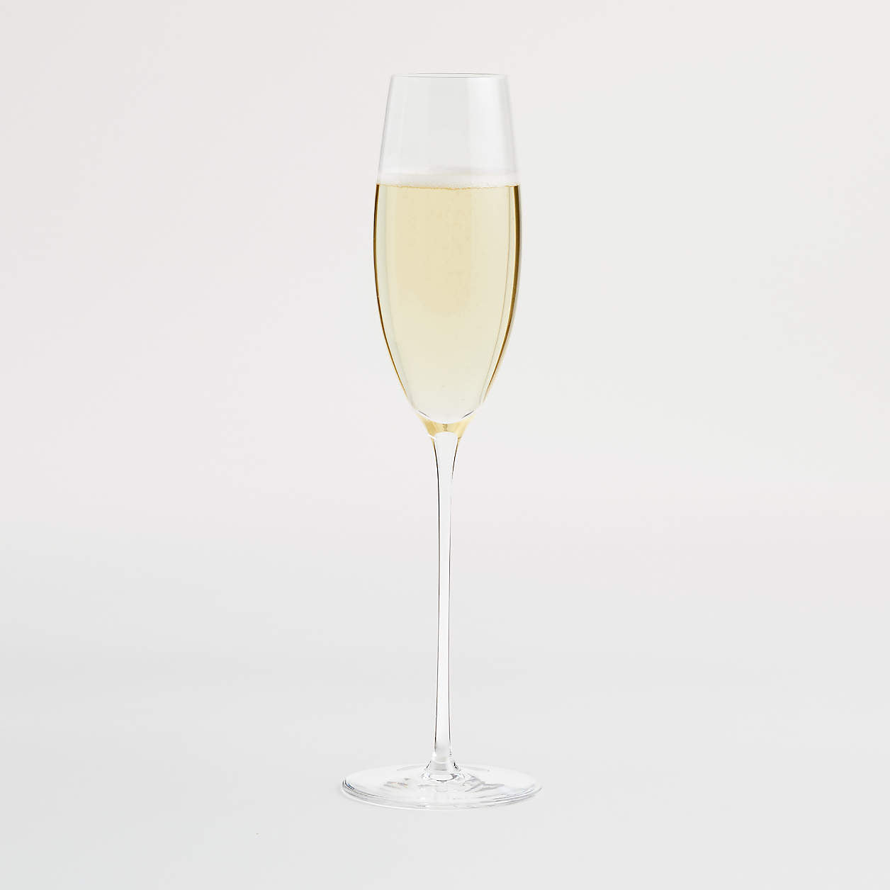 Camille Long Stem Champagne Glass (Set of 12)