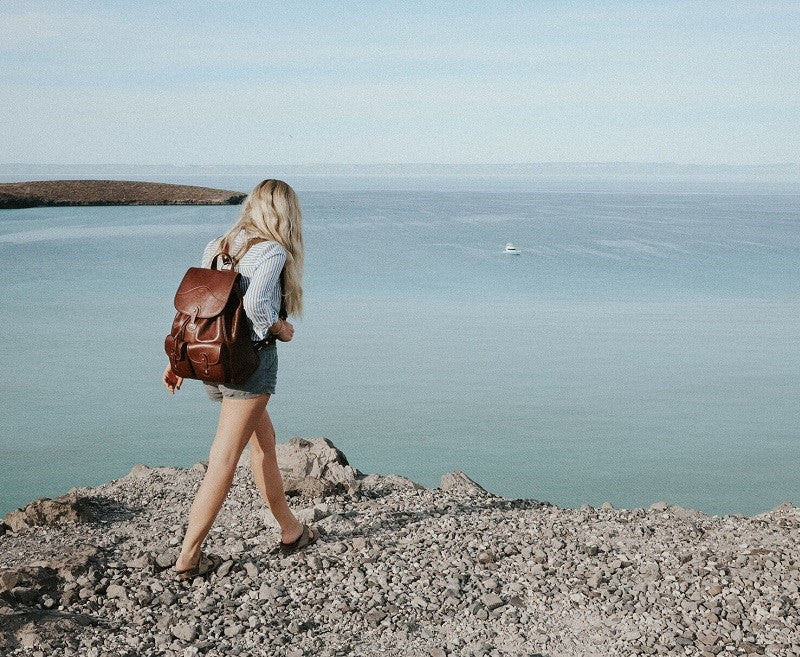 Blazer No. 278 Backpack in Vintage Leather