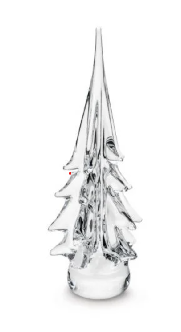 Spruce Evergreen