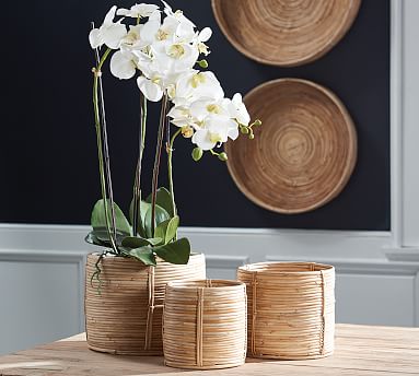 Cane Rattan Basket Sets - Tall Oval set of 2