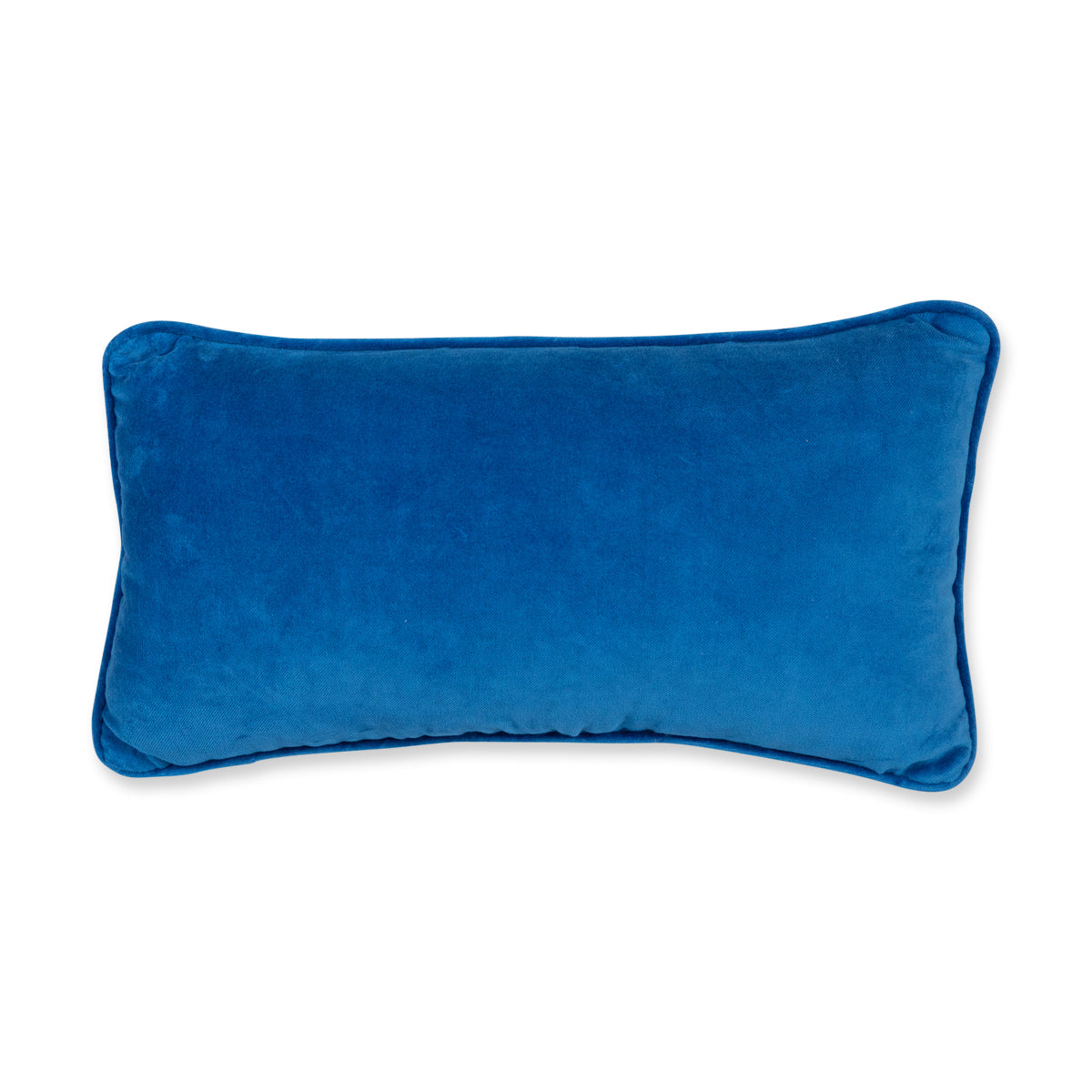 Cinderella Needlepoint Pillow