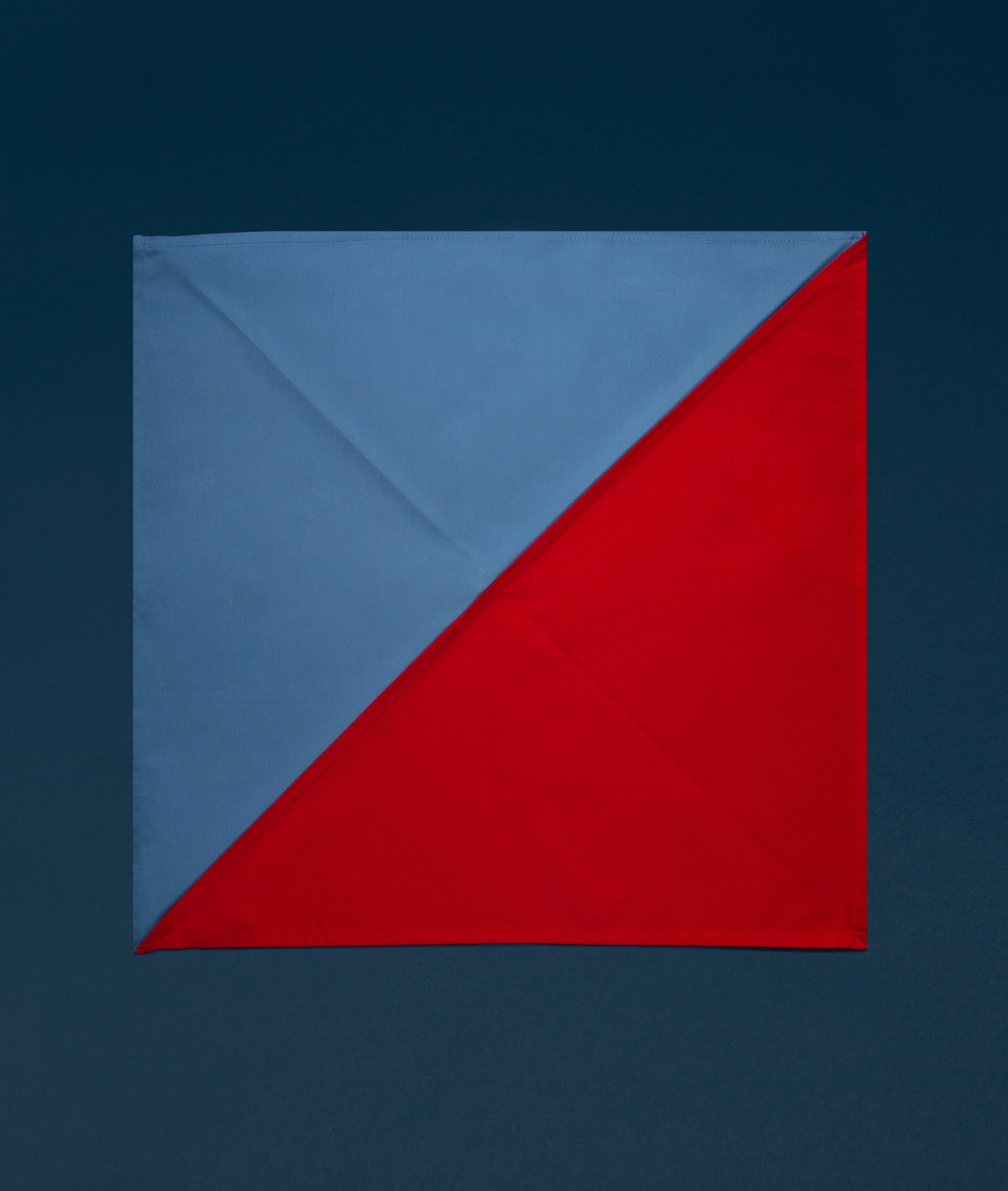 Colorblock Napkin (set of 2)