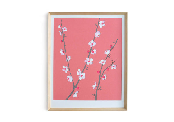 Coral cherry blossoms