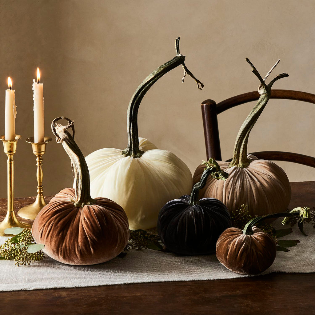 Hot Skwash Velvet Decorative Pumpkins - Neutrals Set of 5