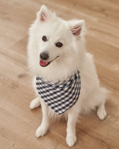 Dog Bandana