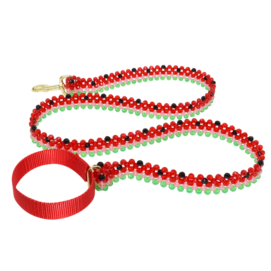 Watermelon Dog Leash