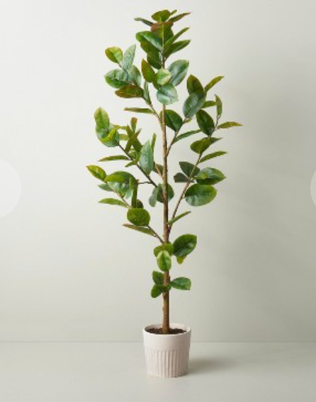 73" Faux Rubber Leaf Tree - Hearth & Hand™ with Magnolia