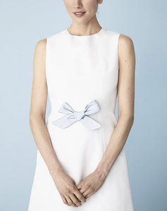 Mrs. Amy Dress