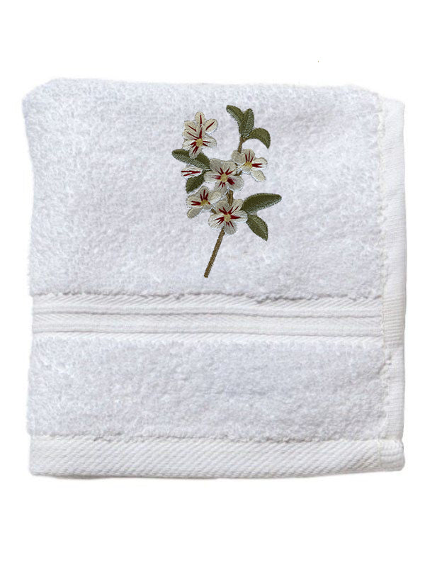 Cotton Terry Washcloth
