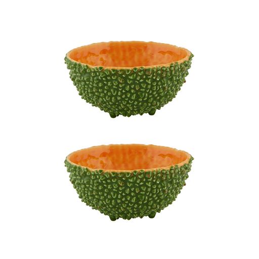 Amazonia Bowl 6", Set of 2