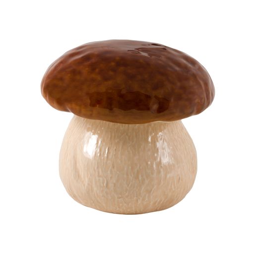 Front view of Mushroom medium box showcasing glossy brown cap and textured cream ceramic base on white background