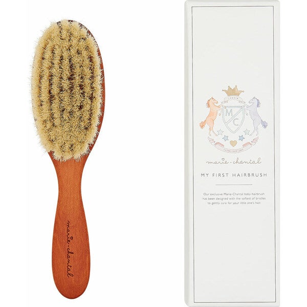 Aristidis Hairbrush with Crest a Box