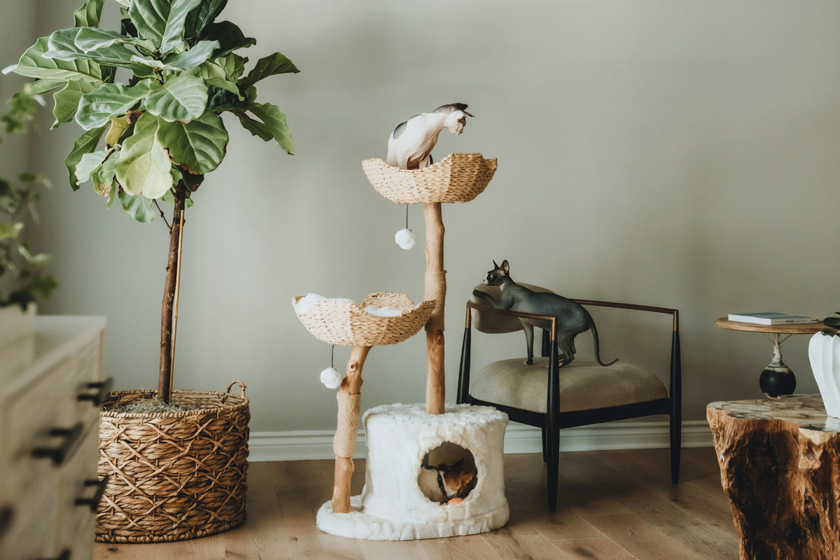 Cento Cat Tree