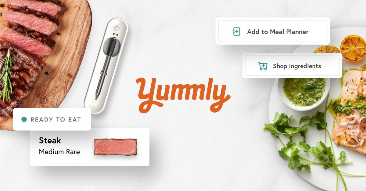 Yummly Smart Meat Thermometer