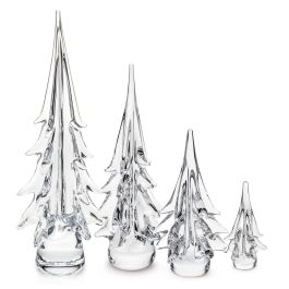 Spruce Evergreen