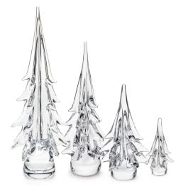 Spruce Evergreen