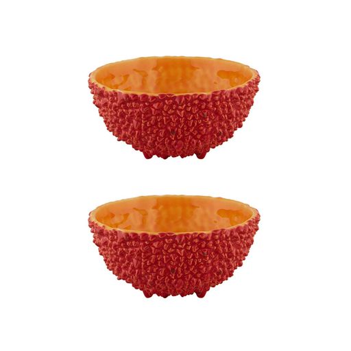 Amazonia Bowl 6", Set of 2