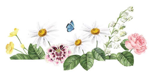 Flower Graphic